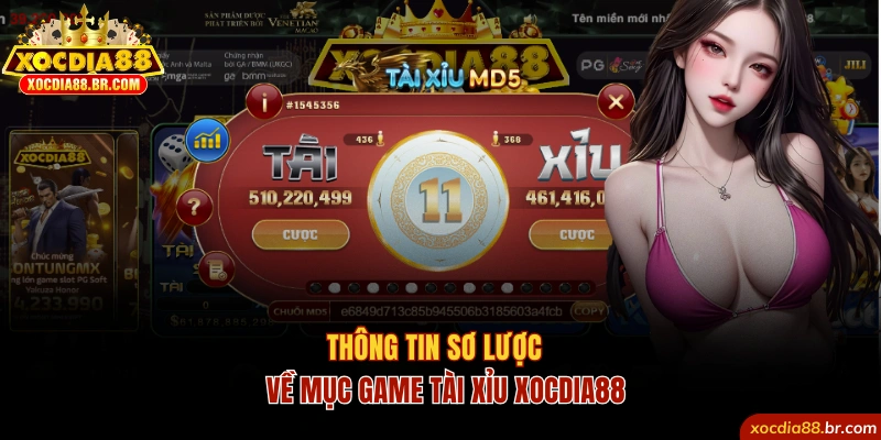 Thông tin về mục game tài xỉu Xocdia88