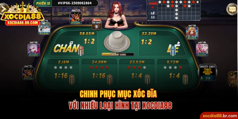 Chinh Phục Mục Xóc Đĩa Với Nhiều Loại Hình Tại Xocdia88